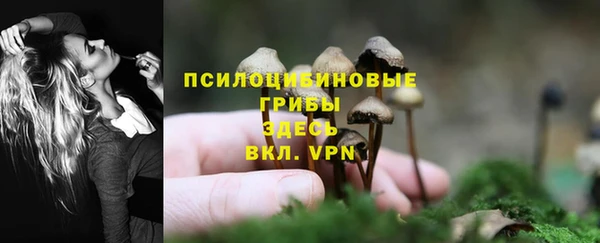 MESCALINE Алексин