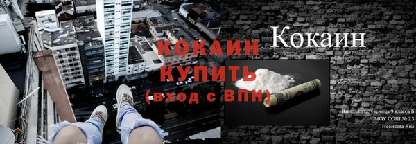 сатива Абдулино