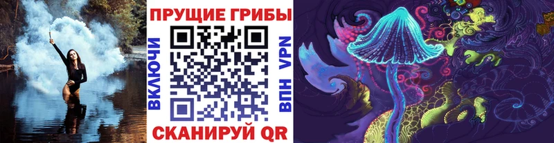 OMG ТОР  Туапсе  Псилоцибиновые грибы GOLDEN TEACHER 