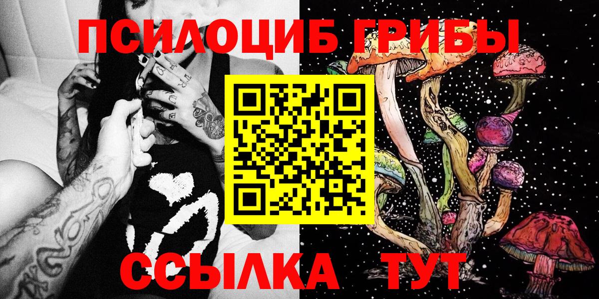 Псилоцибиновые грибы Cubensis Туапсе